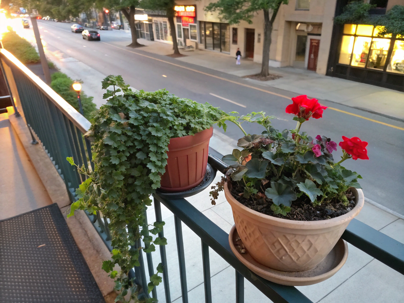 A small balcony garden with herbs and sunlight